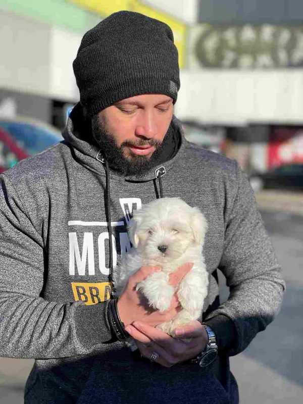 Maltese Odin