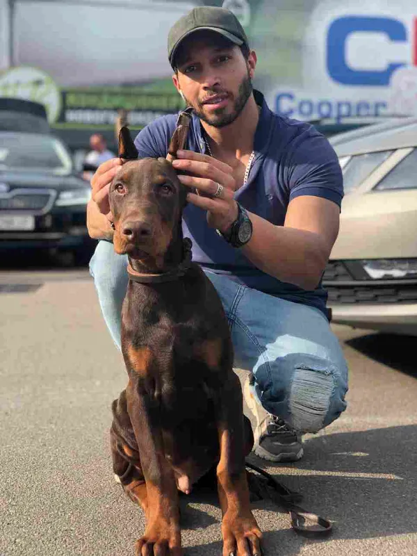 Doberman Leo