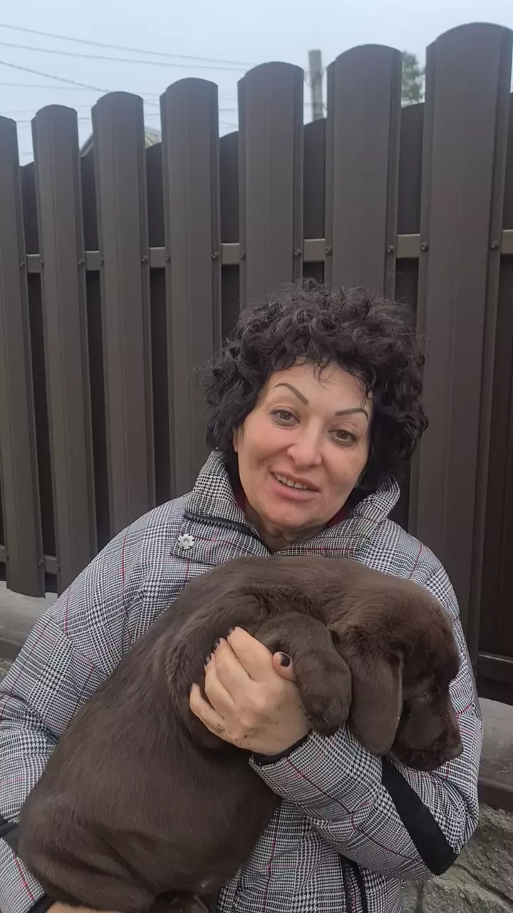 Labrador client journey